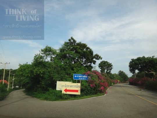 เขาเต่า (61) เขาเต่า (61)