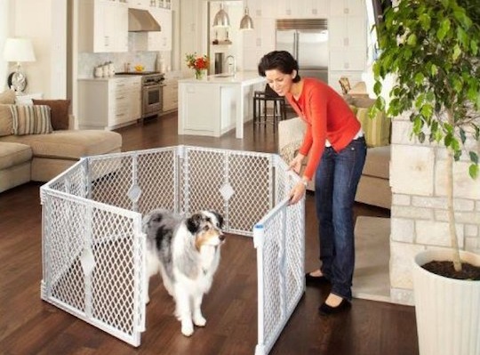 บ้านของคนรักหมา อยู่สบาย … ในแนวราบ | thinkofliving.com