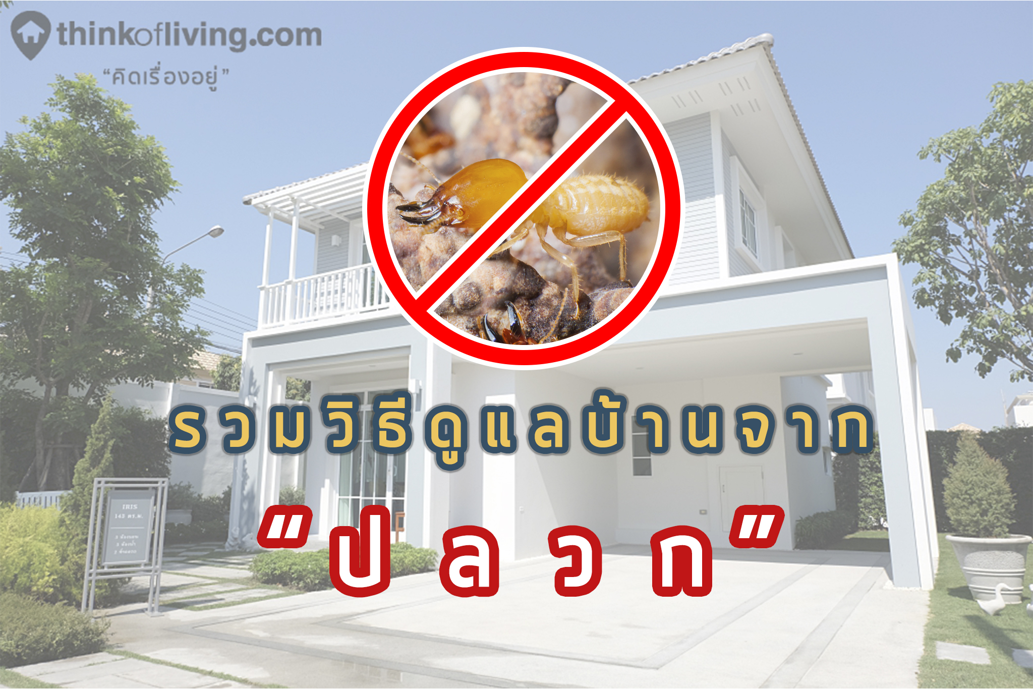 https thinkofliving com e0 b9 84 e0 b8 ad e0 b9 80 e0 b8 94 e0 b8 b5 e0 b8 a2 e0 b8 95 e0 b8 81 e0 b9 81 e0 b8 95 e0 b9 88 e0 b8 87 e0 b8 a3 e0 b8 a7 e0 b8 a1 e0 b8 a7 e0 b8 b4 e0 b8 98 e0 b8 b5 e0 b8 94 e0 b8 b9 e0 b9 81 e0 b8 a5 e0 b8 9a e0 b9 89 e0 b8 b2 e0 b8 99 e0 b8 88 e0 b8 b2 e0 b8 81 e0 b8 9b e0 b8 a5 e0 b8 a7 e0 b8 81 631675