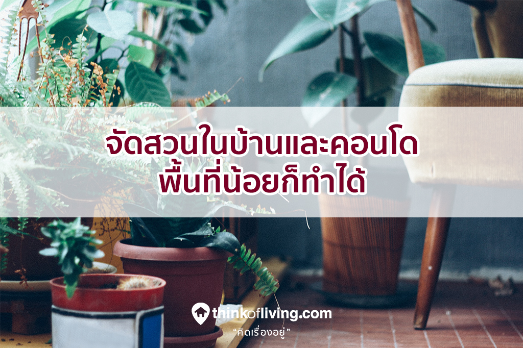 จัดสวนในบ้านและคอนโด พื้นที่น้อยก็ทำได้ | thinkofliving.com จัดสวนในบ้านและคอนโด พื้นที่น้อยก็ทำได้ | Thinkofliving.Com